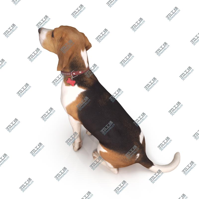 images/goods_img/202104092/3D Beagle/5.jpg